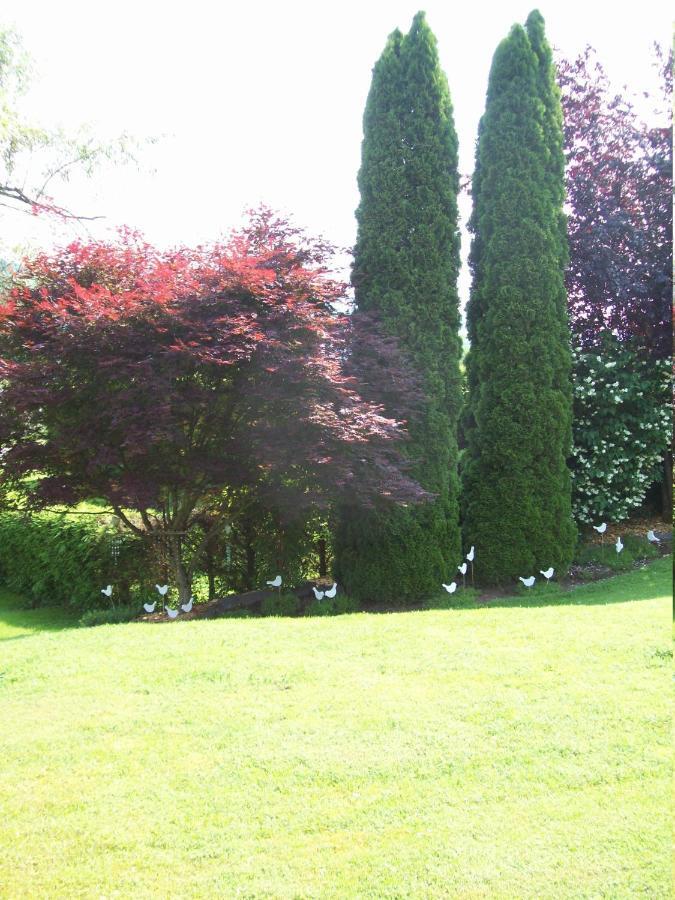 Gite De Grettery Saulxures-sur-Moselotte Exterior foto